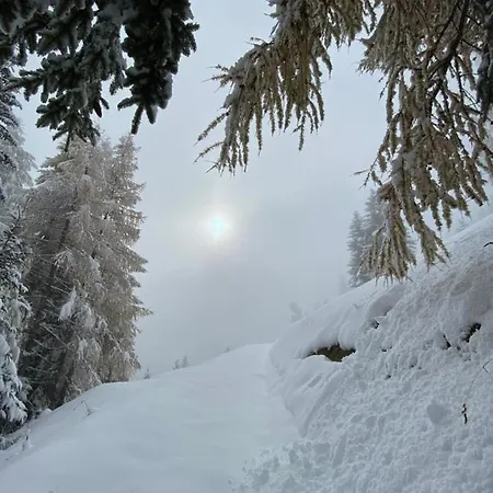 Arvenstube - Stiva Da Schember Casti-Wergenstein